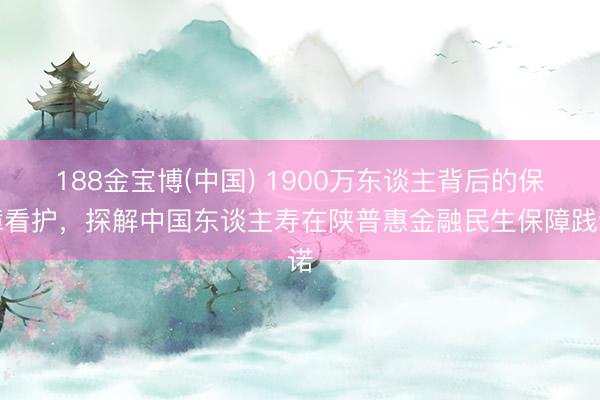 188金宝博(中国) 1900万东谈主背后的保障看护，探解中国东谈主寿在陕普惠金融民生保障践诺