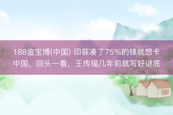 188金宝博(中国) 印菲凑了75%的镍就想卡中国，回头一看，王传福几年前就写好谜底