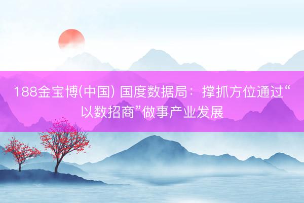 188金宝博(中国) 国度数据局：撑抓方位通过“以数招商”做事产业发展