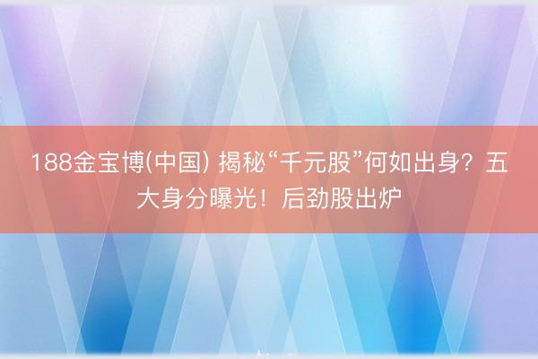188金宝博(中国) 揭秘“千元股”何如出身？五大身分曝光！后劲股出炉