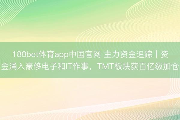 188bet体育app中国官网 主力资金追踪｜资金涌入豪侈电子和IT作事，TMT板块获百亿级加仓