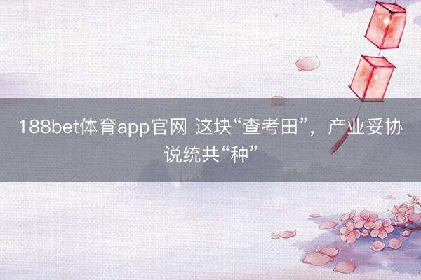 188bet体育app官网 这块“查考田”，产业妥协说统共“种”
