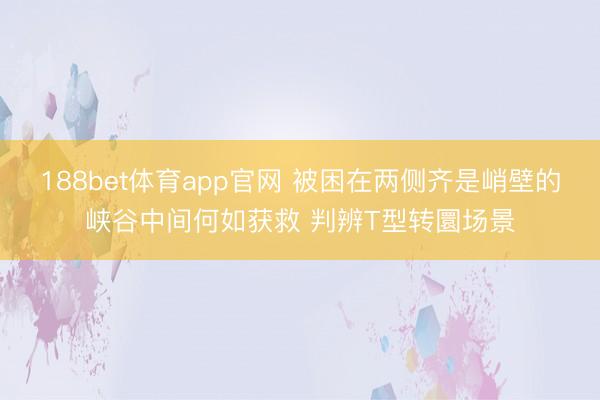 188bet体育app官网 被困在两侧齐是峭壁的峡谷中间何如获救 判辨T型转圜场景