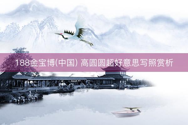 188金宝博(中国) 高圆圆超好意思写照赏析